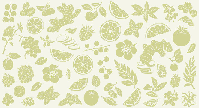 Kombucha themed background pattern vector illustration drawing, rustic hand drawn sketch style for organic artisan fermented tea branding and packaging with label design citrus fruit hibiscus ginger