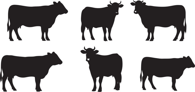 Black cow silhouettes standing in different positions