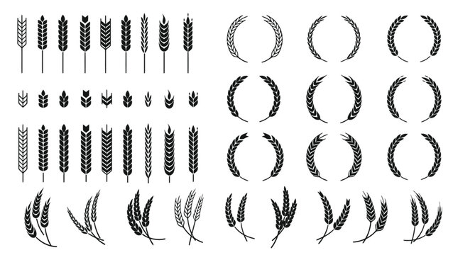 Intricate black and white wheat sheaf and laurel wreath vector illustrations