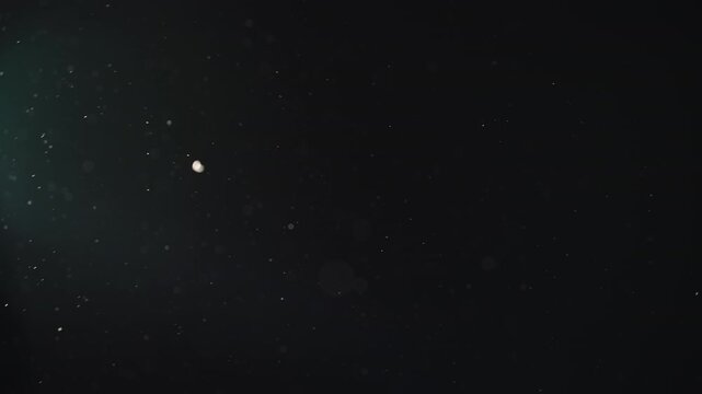 Real dust particles floating mid air over dark background