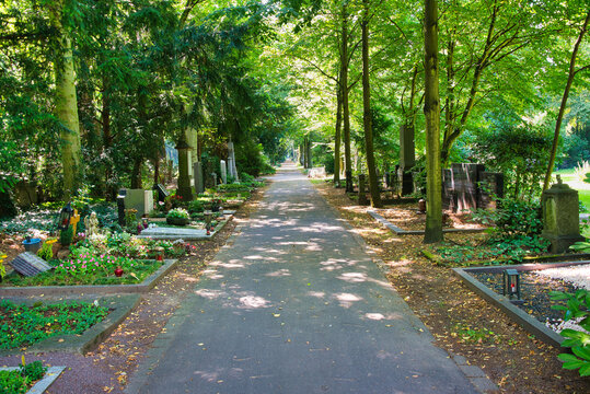 Gro&szlig;er Friedhofsweg unter schattenspendenden B&auml;umen auf einem Friedhof in K&ouml;ln