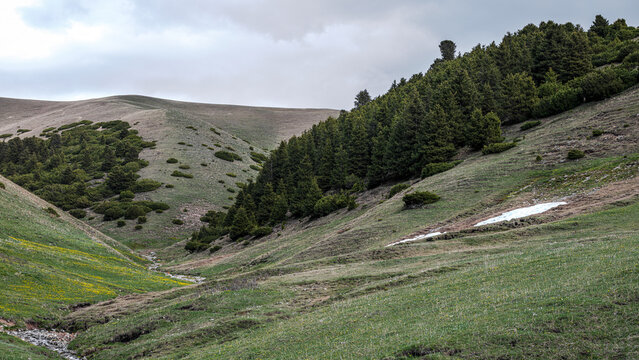 Landscape Kazachstan, Assi, mountain, trees, snow, clubs, green, alps, peak,