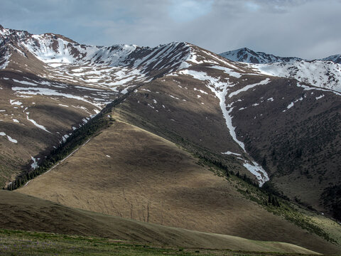Landscape Kazachstan, Assi, mountain, trees, snow, clubs, green, alps, peak,