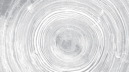 Tree trunk cross section with detailed wood growth rings Vintage wood texture illustration with natural crack details © VECTOR HOUSE