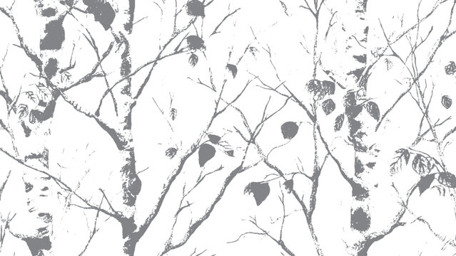 Set of detailed ash tree silhouettes in black and white Natural ash tree silhouette bundle with organic branch shapes