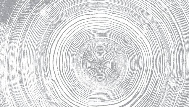 Tree trunk cross section with detailed wood growth rings Vintage wood texture illustration with natural crack details