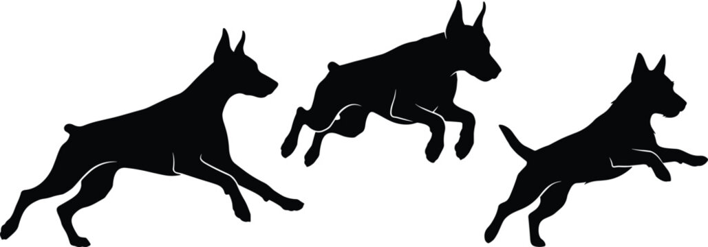 Doberman Pinscher Dog Silhouette Set Featuring Running and Jumping Poses for Pet Grooming, Security Services, Veterinary Clinics, and Canine Sports Graphic Design Projects