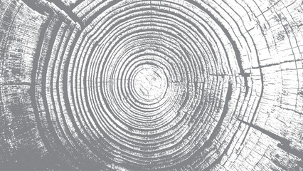 Tree trunk texture with abstract monochrome wood detail © VECTOR HOUSE