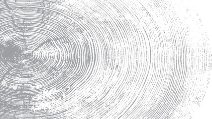 Tree trunk texture with abstract monochrome wood detail © VECTOR HOUSE