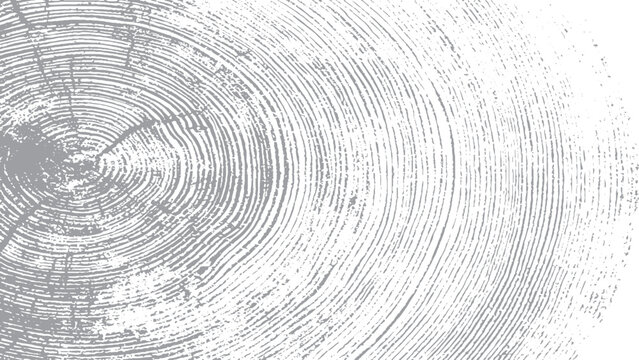 Tree trunk texture with abstract monochrome wood detail