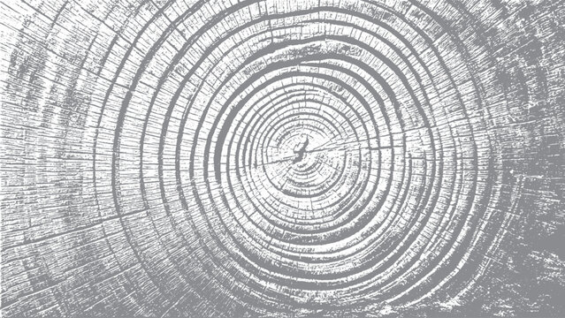 Wood log pattern with detailed circular grain lines Rustic tree rings texture with gray distressed surface