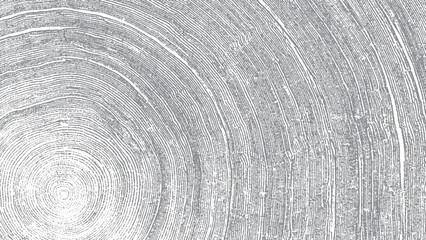 Abstract tree trunk cross section with rustic grain detail © VECTOR HOUSE
