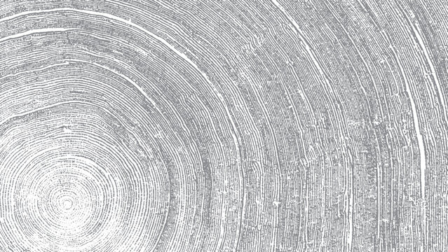 Abstract tree trunk cross section with rustic grain detail