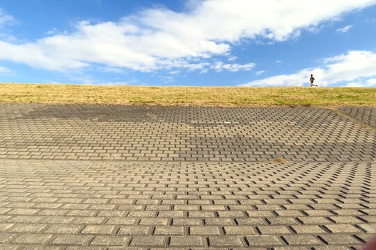 ジョギングロードと護岸のある冬の江戸川土手風景