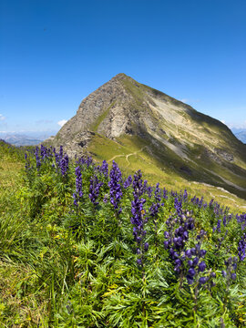 Mountain landscape at Giferspitz peak near Gstaad, Bernese Alps, Switzerland