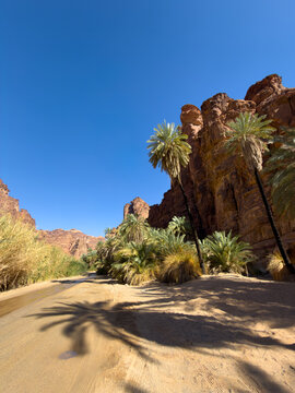 Landscape of Wadi Al-Disah, Sandstone Canyon Oasis, Tabuk Province, Northwest Saudi Arabia