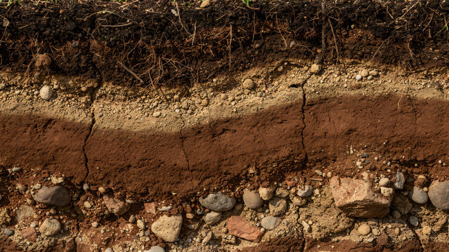 Seamless Rammed Earth Clay Texture