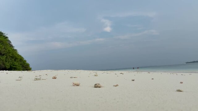 Beach landscape with white sand and sea on Maldives island. Concept of travel and tropical vacation.