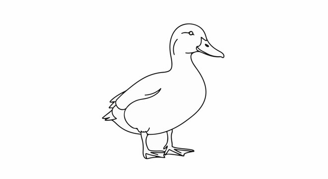 Simple black and white line drawing of a duck standing on its webbed feet