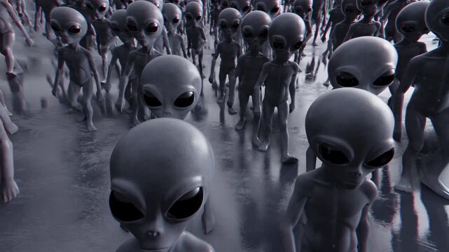 A hauntingly seamless loop 3d animation of a vast crowd of grey extraterrestrials with large black eyes walking purposefully across a cold, reflective metallic floor