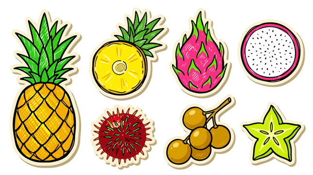 Tropical Fruit Stickers Collection doodle Vector Illustration