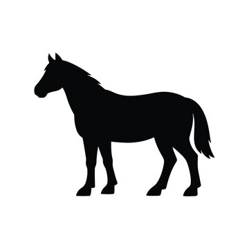 Strong horse farm animal silhouette icon