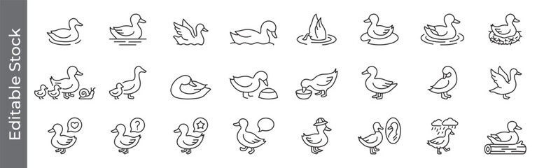Fototapeta premium Duck and waterfowl icon set – editable outline symbols of animal behavior, family, swimming, nature and wildlife