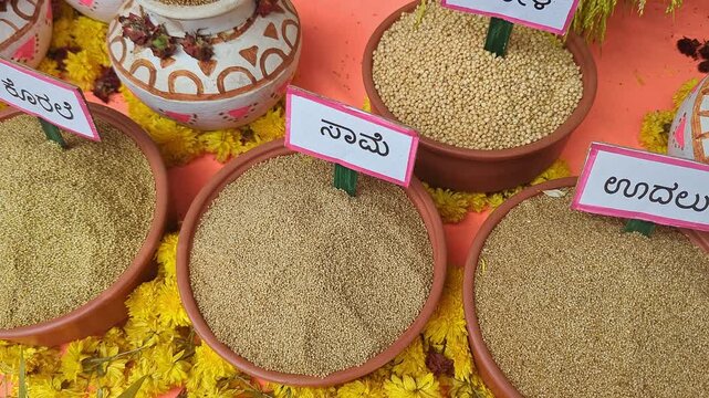 Closeup of traditional Indian millets displayed at krishi mela showcasing grain diversity