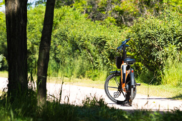 Naklejka premium Scenic view of a modern bicycle parked on a dirt path winding through a lush green forest under bright natural sunlight.