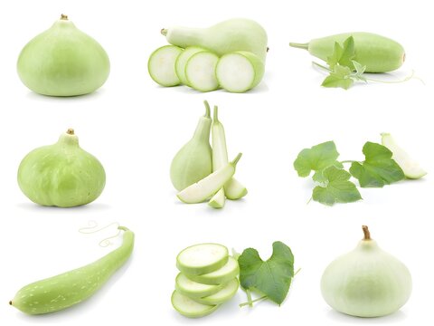 Calabash vegetable collection isolated on white background
