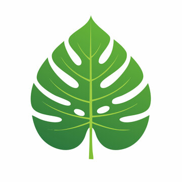 Green Monstera Leaf Illustration