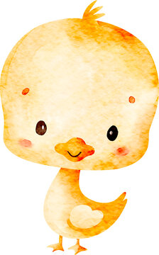 Watercolor Duck Illustration
