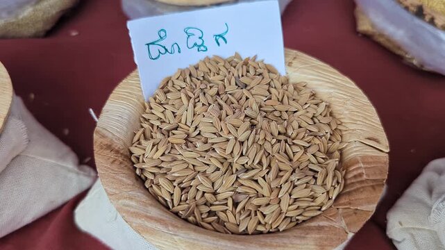 Closeup view of doddiga paddy displayed at krishi mela showcasing grain texture