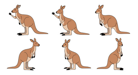 Obraz premium Collection of six kangaroo illustrations in various standing and reaching poses for nature and wildlife design projects in art.