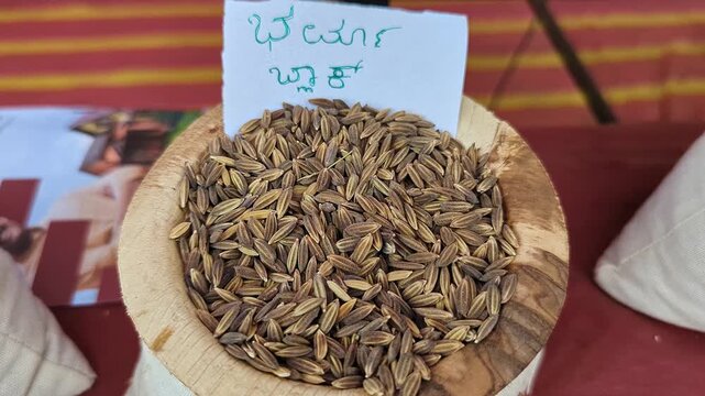 Closeup view of burma black paddy displayed at krishi mela highlighting grain texture and quality