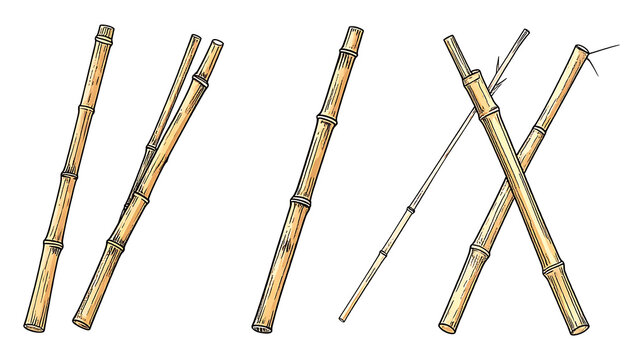 Group of bamboo stalks, some parallel and some crossed, isolated on white, natural material elements for design