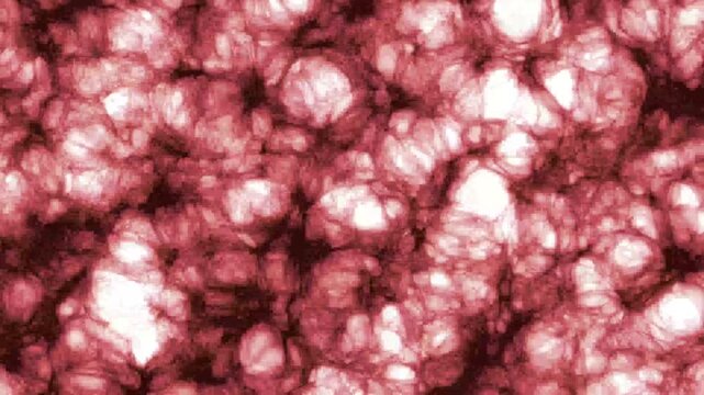 A magnified microcosm can be used for medicine, and a magnified intestinal interior.