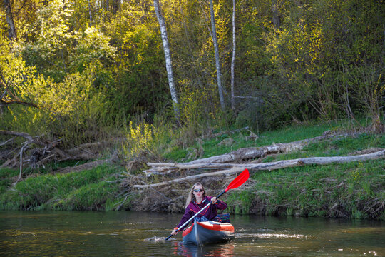 Woman in a kayak navigating through the water against a background of spring forest and logs