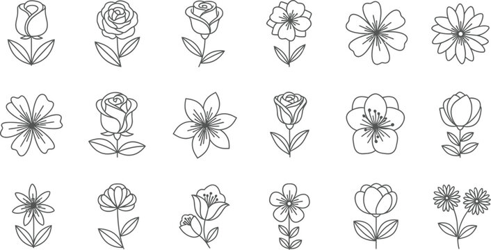 Black and white line of 18 different flowers and buds on white background, line black and, white floral botanical