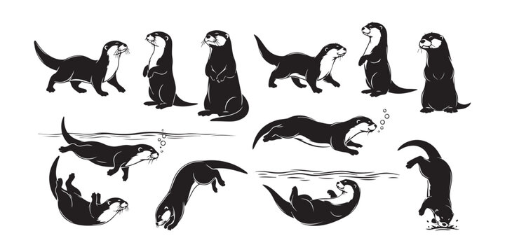 Otters in various playful and swimming poses
