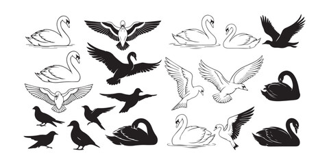 Elegant swans and ducks flying and swimming illustration © Sebika