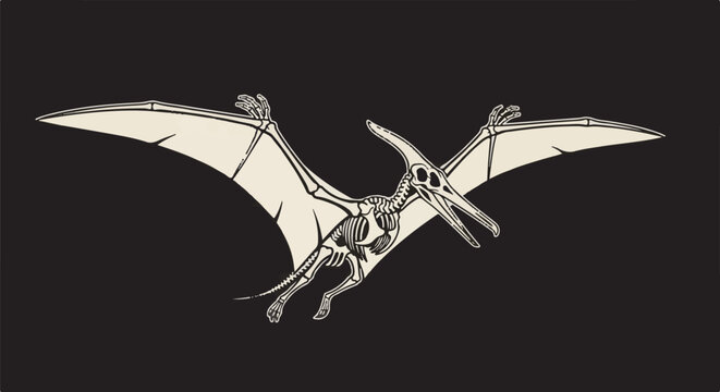 Stylized Pterosaur skeleton in flight against a dark background