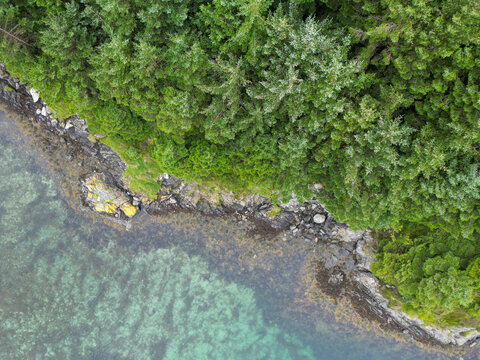 Rocky Shoreline and Forest Seen From Above