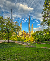 Obraz premium Sheep Meadow Central Park, late spring