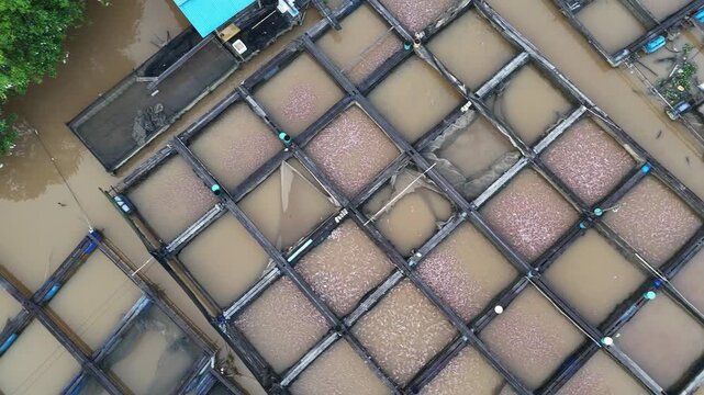 An aerial view of fish ponds and aquaculture cages in the brownish waters of the Kapuas River in Indonesia.