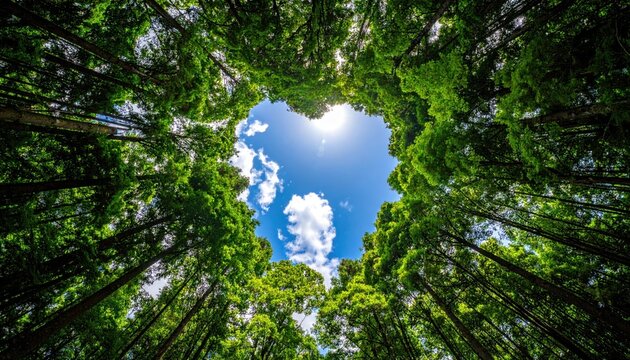 Lush green trees form a heart-shaped canopy opening to a bright blue sky with fluffy clouds and sunlight
