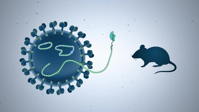2D Medical Animation of Hantavirus Structure and Mouse Silhouette for Zoonotic Disease Education