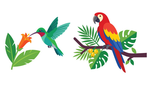 Colorful tropical birds with foliage vector illustration on white background