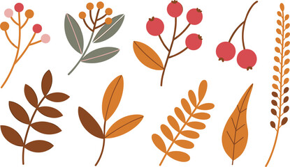 Autumn botanical elements vector set leaves berries branches floral collection warm colors decorative nature illustration modern design © Masum