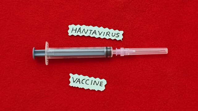 Concept of vaccine research for prevention and protection against hantavirus or orthohantavirus outbreak life-threatening rare disease. Syringe near hantavirus vaccine word or text.